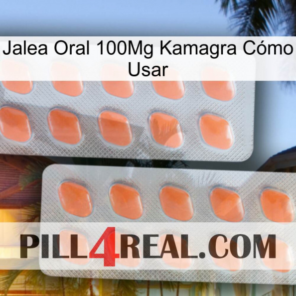 Jalea Oral 100Mg Kamagra Cómo Usar 27.jpg